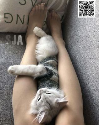 韩国财阀三级未删减版_超清免费观看